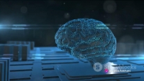 Unravels the Mysteries of Human Memory Latest Technology Updates